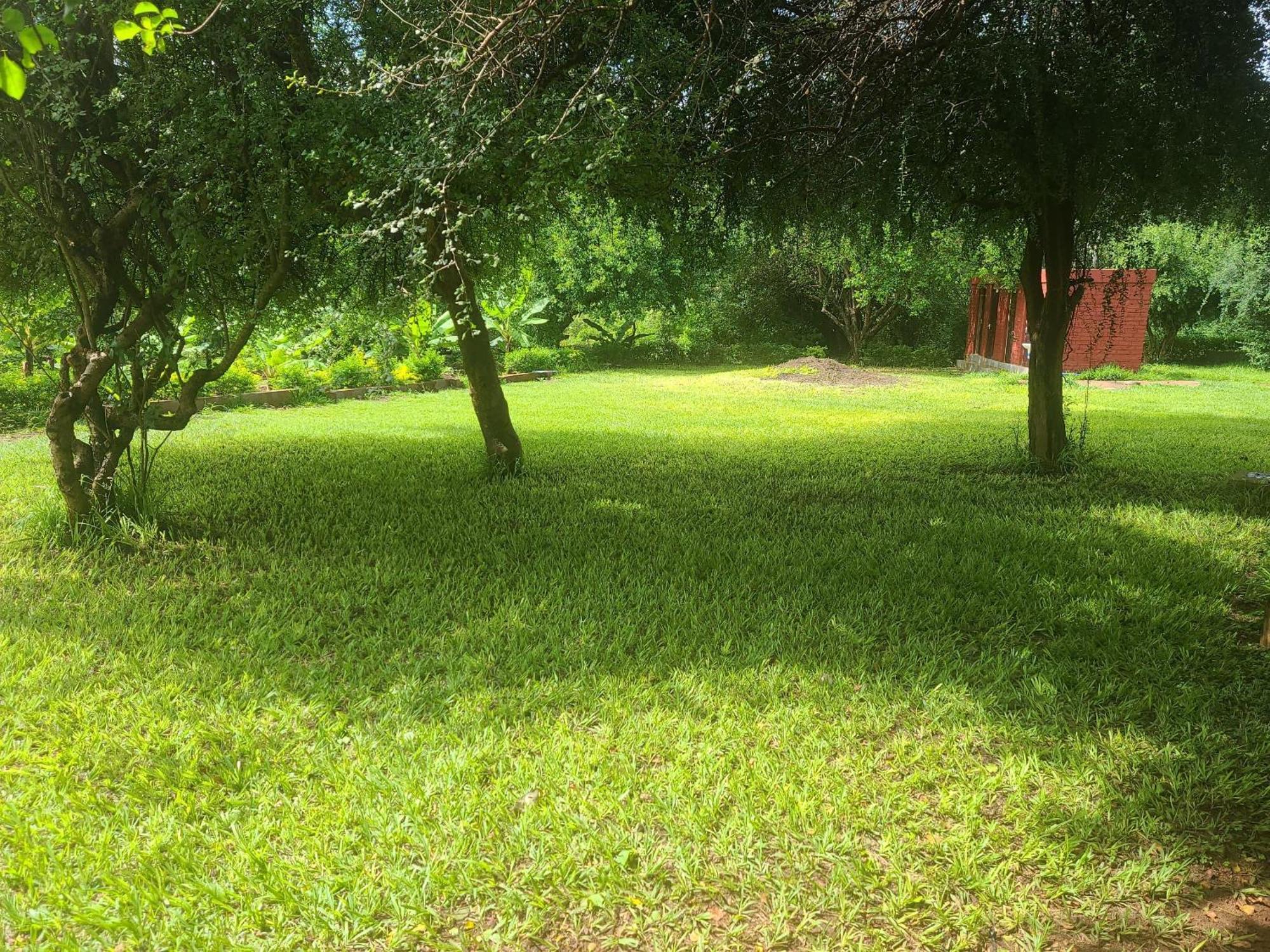 Mkomazi Hotels&Camps Hegoma Esterno foto