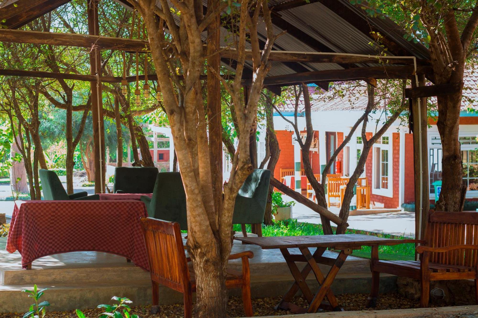 Mkomazi Hotels&Camps Hegoma Esterno foto