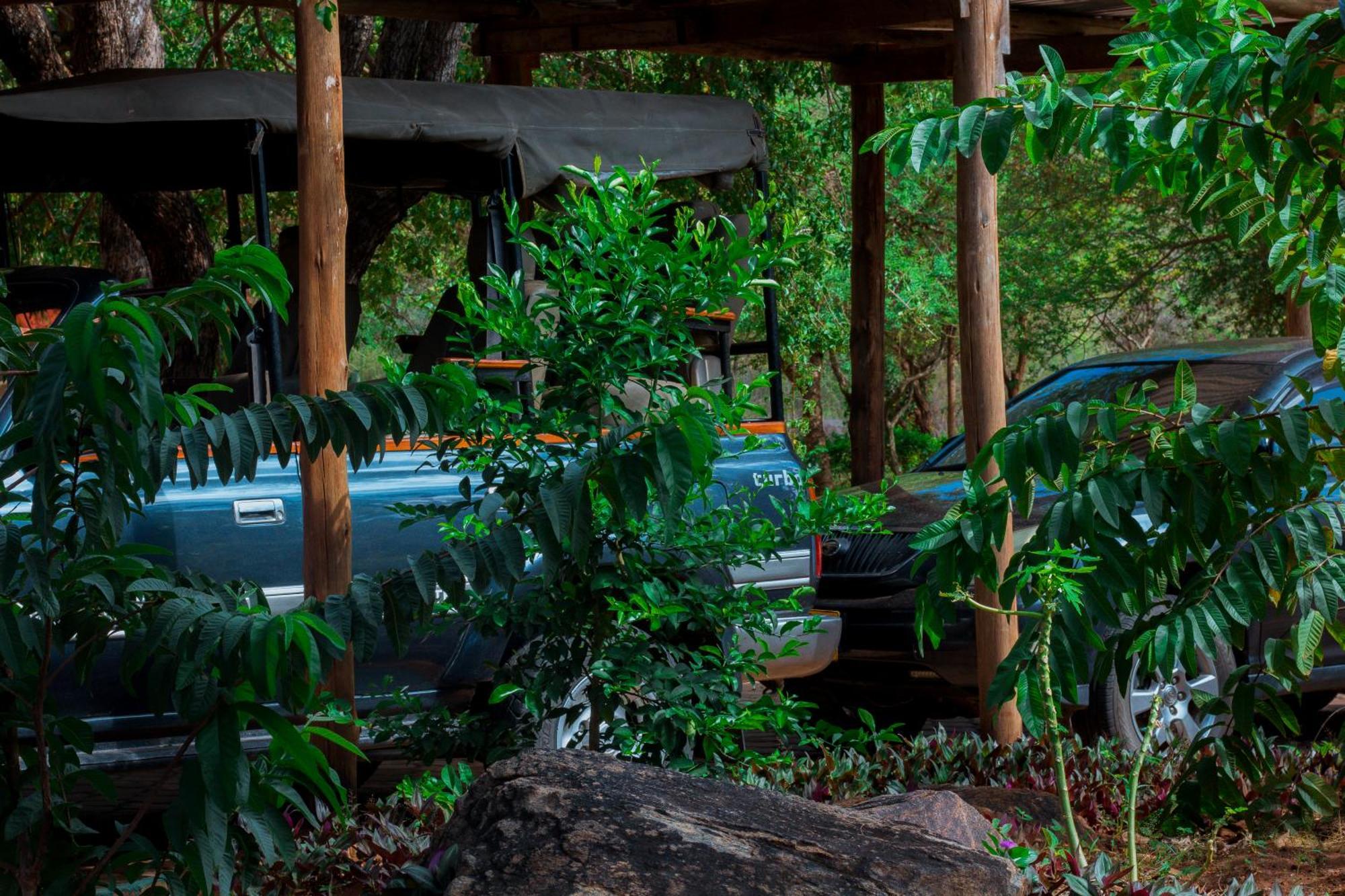 Mkomazi Hotels&Camps Hegoma Esterno foto
